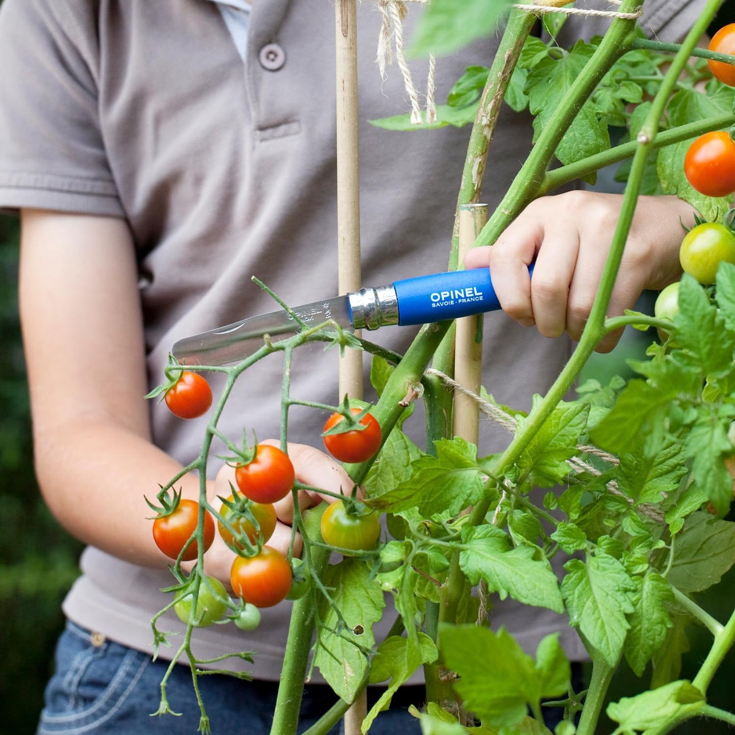 Opinel Nr.07 | Kindermesser | blau