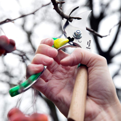 Opinel Gartenschere | Edelstahl | Grün