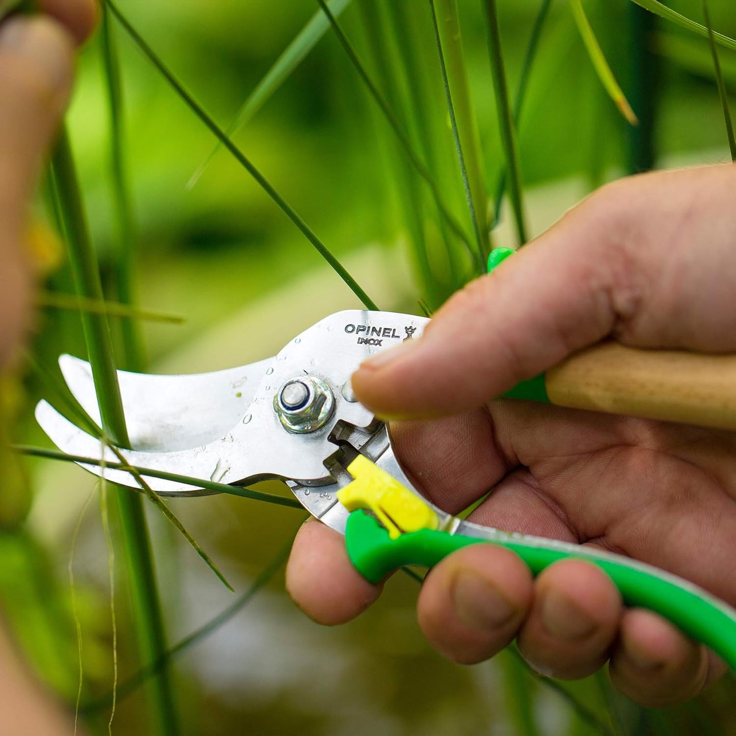 Opinel Gartenschere | Edelstahl | Grün