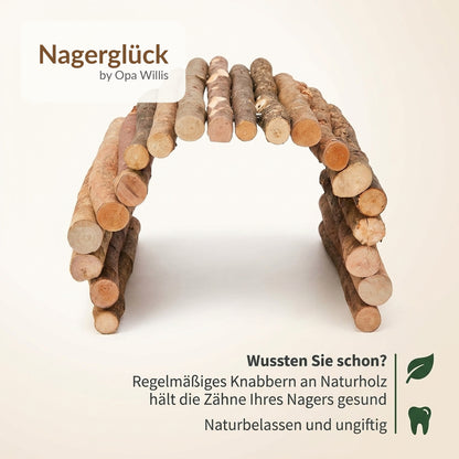Nagerglück Flexible Holzbrücke für Kleintiere 50x30 cm, biegbare Nagerbrücke aus Rindenholz für Kaninchen, Meerschweinchen, Hasen, Hamster und Ratten, Klettersteg & Tunnel fürs Gehege - Position 7