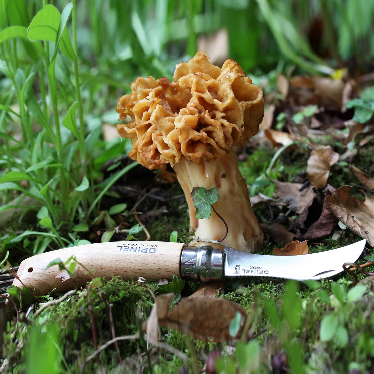 Opinel Nr.8 | Pilzmesser mit Bürste